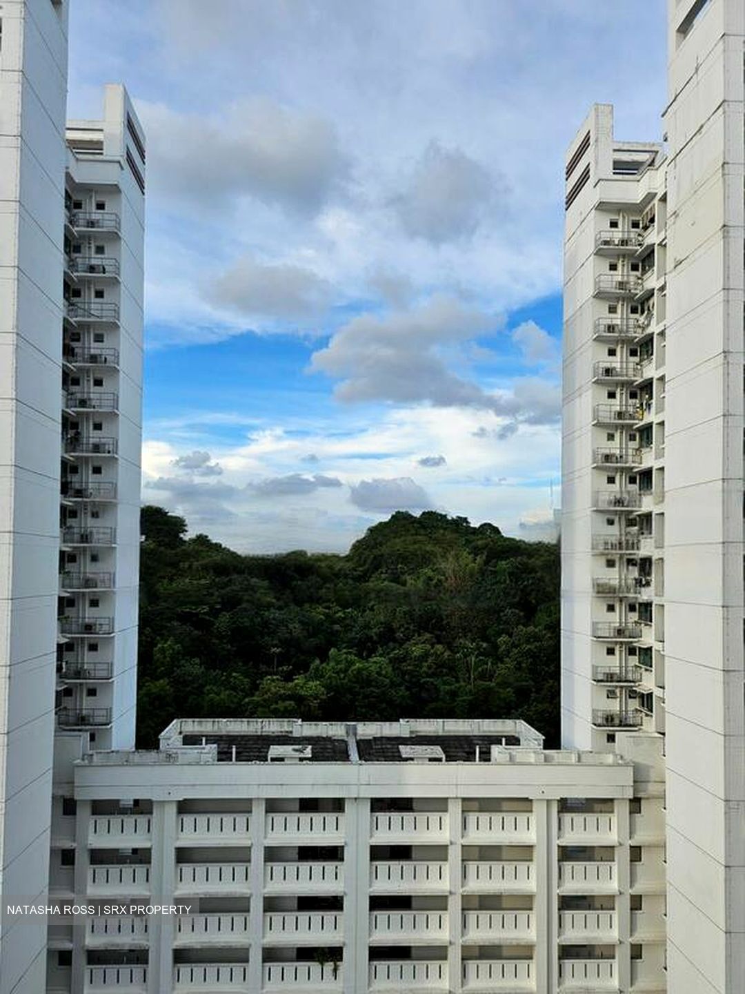 Blk 70C Telok Blangah Ridgeview (Bukit Merah), HDB 4 Rooms #450488941